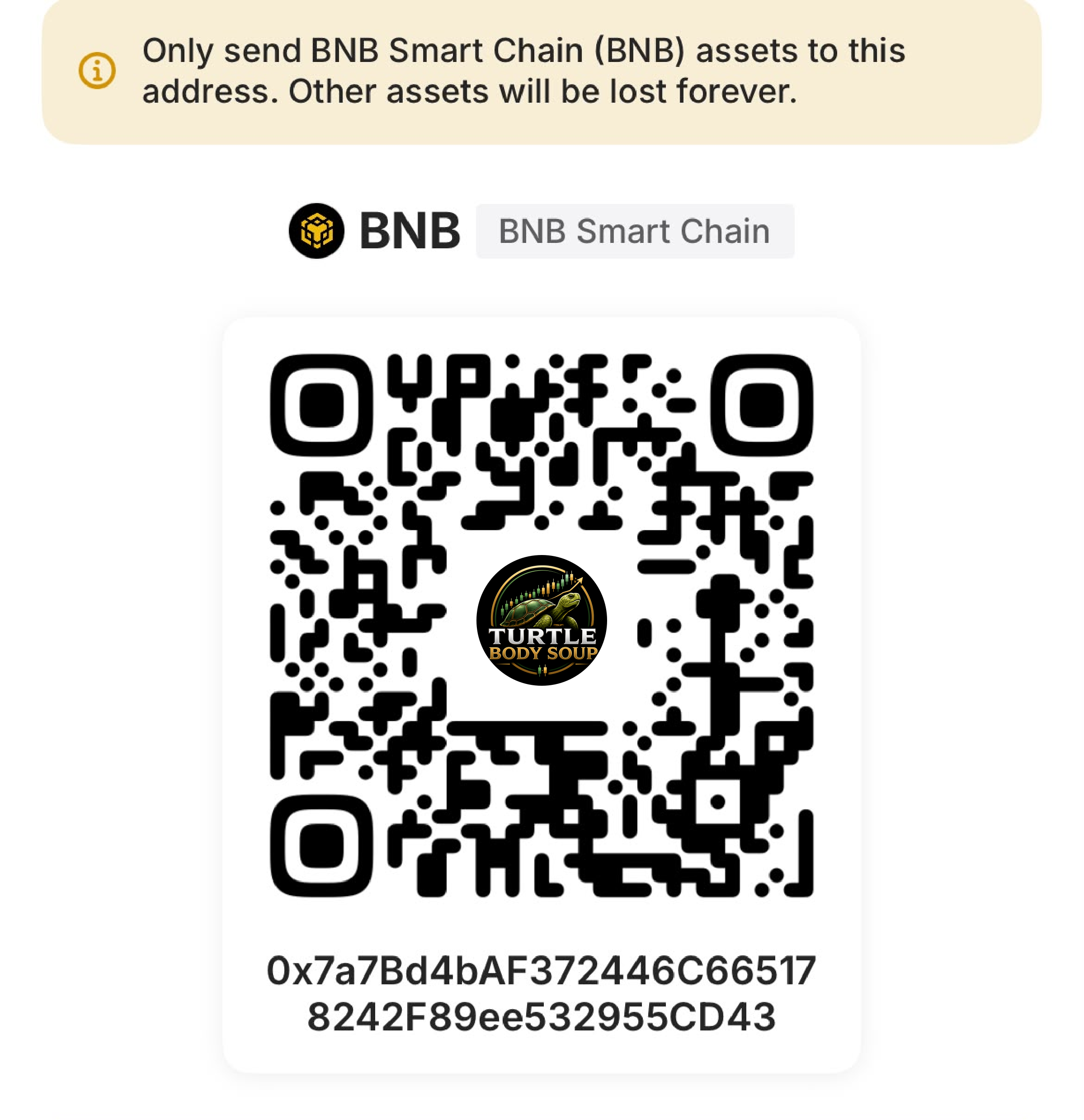 BNB Smart Chain QR Code