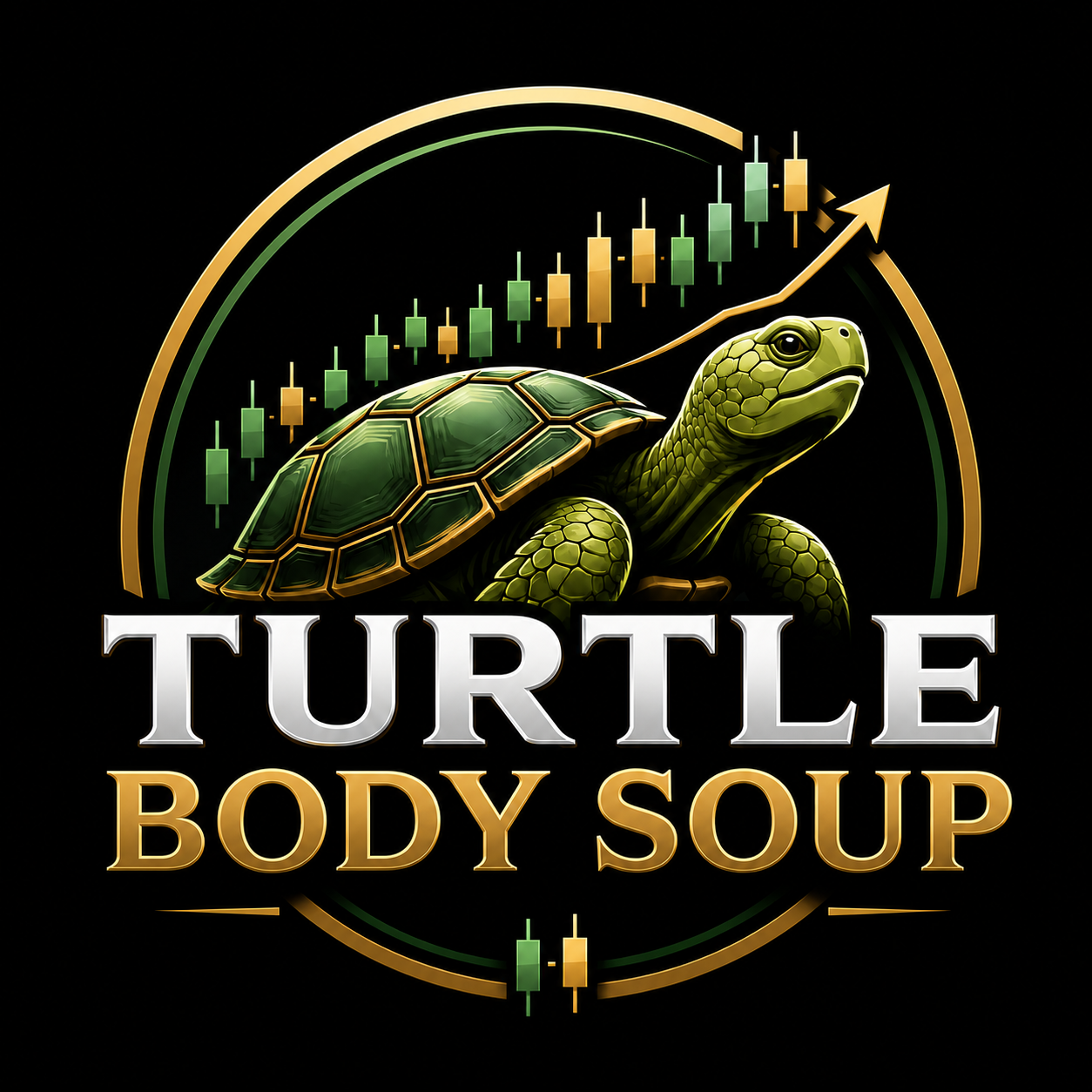 Turtle Body Soup Logo